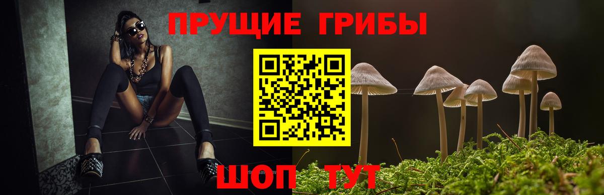 Псилоцибиновые грибы мицелий Кумертау